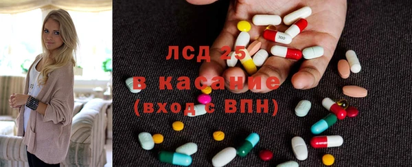 прущие грибы Бугульма