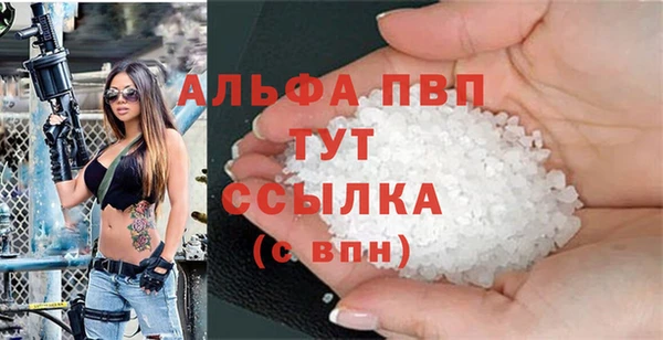 прущие грибы Бугульма