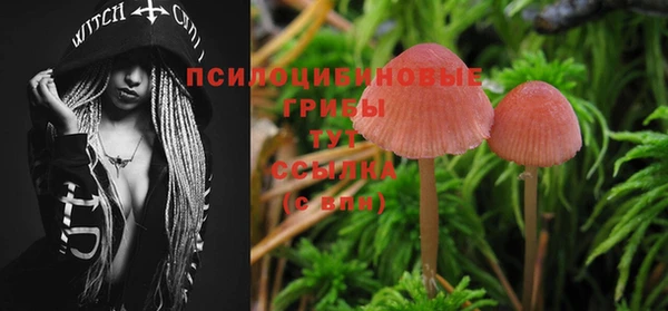 прущие грибы Бугульма