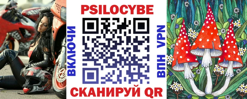 Купить закладки  Цивильск  Псилоцибиновые грибы GOLDEN TEACHER 
